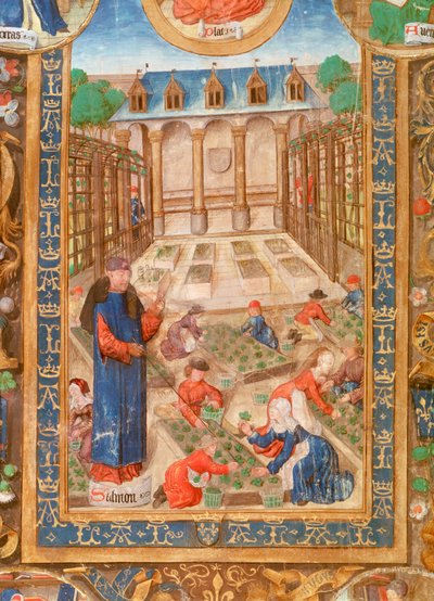 Jardin pharmaceutique, 15e siècle - Unbekannt