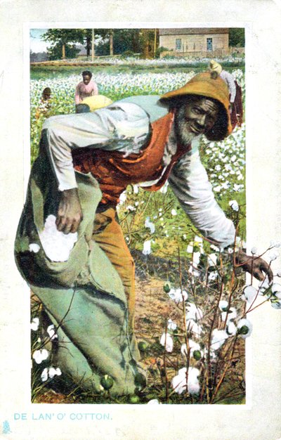 Cueillette du coton, USA, carte postale, vers 1900 - Unbekannt