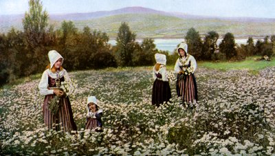Cueillir des fleurs dans un pré près de Leksand, Suède, vers 1923 - Unbekannt