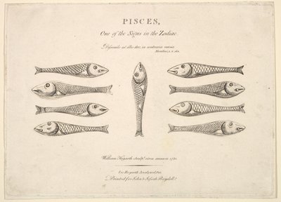 Poissons : Quadrille de Hogarth, vers 1730 - Unbekannt