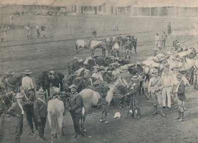 Cheval de Plumer, c1900 - Unbekannt