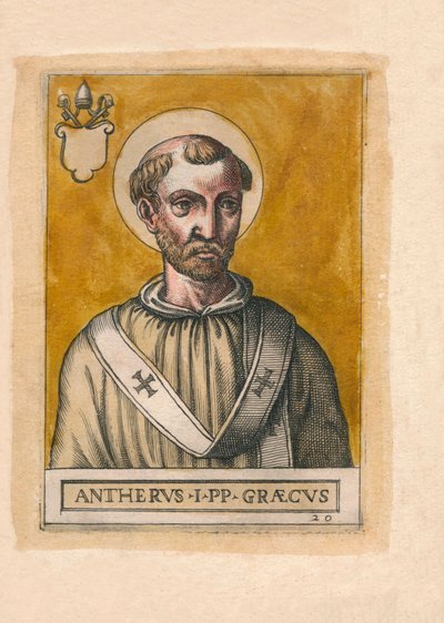 Pape Anterus - Unbekannt
