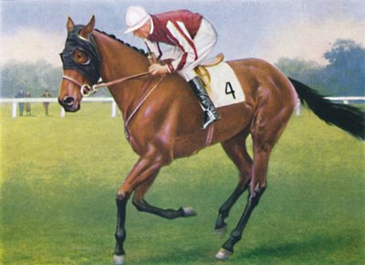 Portobello, Jockey : P. Beasley, 1939 - Unbekannt