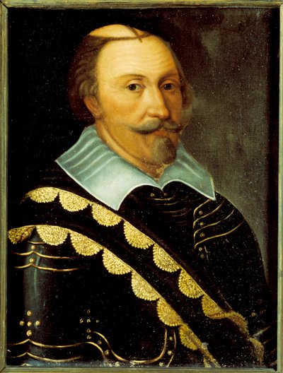 Portrait du roi Charles IX de Suède 1550-1611 - Unbekannt