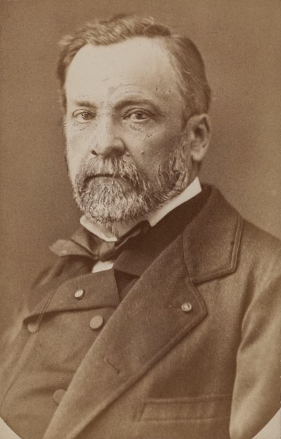Portrait de Louis Pasteur 1822-1895, vers 1870 - Unbekannt