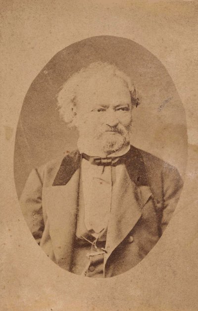 Portrait du pianiste et compositeur Ferenc Erkel 1810-1893, vers 1875 - Unbekannt