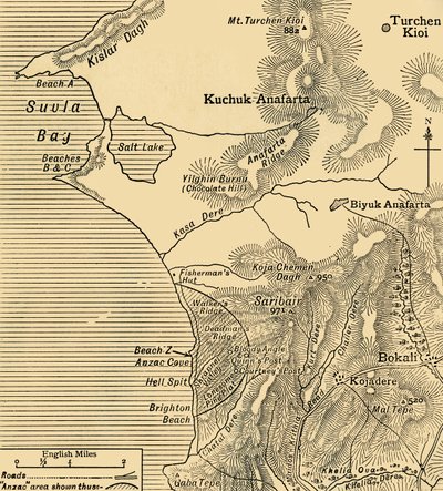 Positions des forces ANZAC sur la péninsule de Gallipoli en Turquie, Première Guerre mondiale, juillet 1915 - Unbekannt