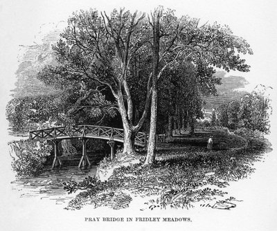 Pont de Pray dans les prés de Fridley, Surrey, 19ème siècle - Unbekannt