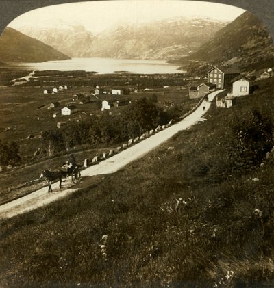 Joli village entouré de montagnes et lac de Røldal, dans l