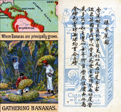 Principales zones de culture des bananes, de la série de cartes de cigarettes 