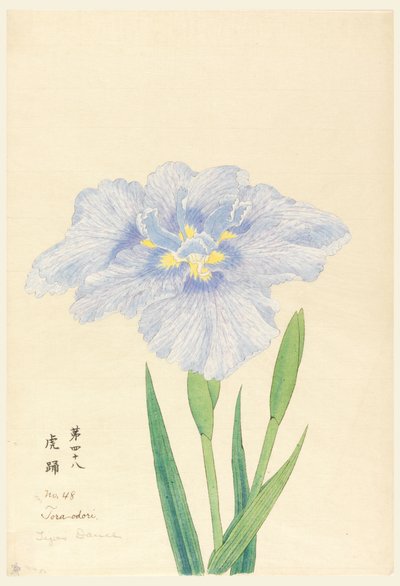 Gravure, La danse du tigre (Tora-Odori), No. 48 - Unbekannt