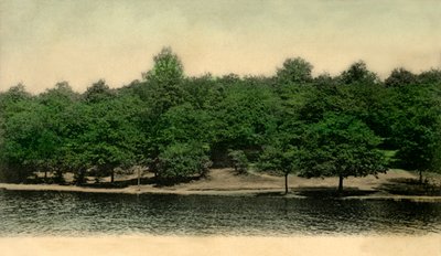 Queensmere, Wimbledon Common, Londres, 1903 - Unbekannt