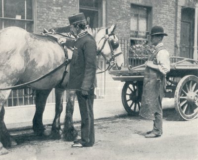 Inspecteur de la RSPCA examinant un cheval, vers 1903 - Unbekannt
