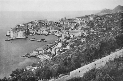Raguse, 1913 - Unbekannt