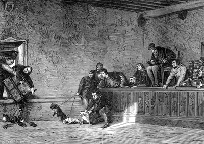 Combat de rats, reconstitution de Louis XI de France, 1461-1483, 1882-1884 - Unbekannt