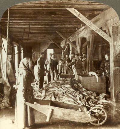 Réception de poissons des navires de mer et emballage pour l