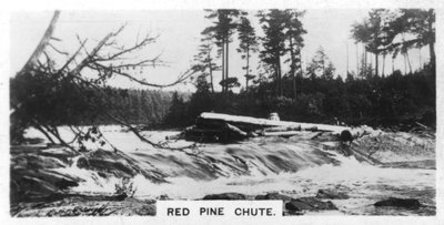 Chute de Pin Rouge, Canada, vers les années 1920 - Unbekannt