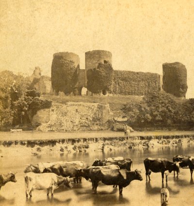 Rhuddlan - Château depuis la rivière - Unbekannt