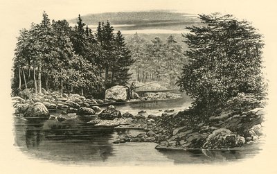 Scène de rivière, Langdale, vers 1890 - Unbekannt