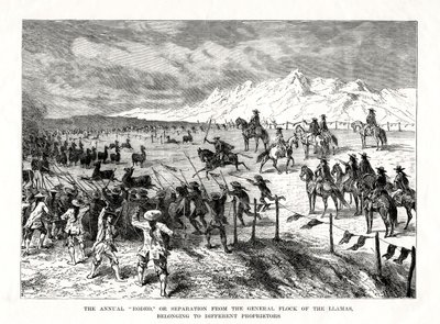 Rodéo, Amérique du Sud, 1877 - Unbekannt