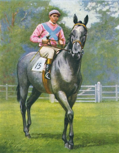 Château de Rogerstone, Jockey : E. C. Elliott, 1939 - Unbekannt