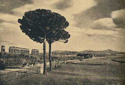 Rome - Nouvelle Voie Appienne - Ruines de l