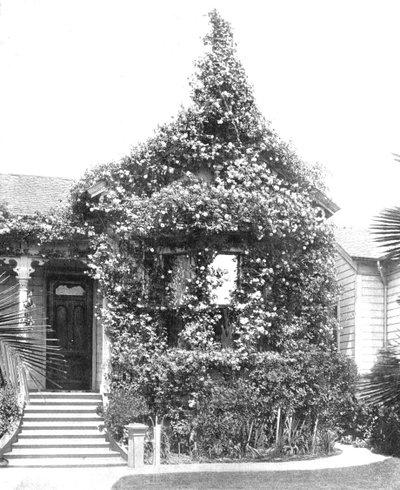 Rose Cottage, South Spring Street, Los Angeles, Californie, États-Unis, vers 1900 - Unbekannt
