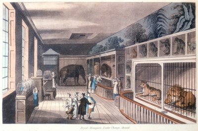 Ménagerie royale, Exeter Change, Strand, Londres, vers 1820 - Unbekannt