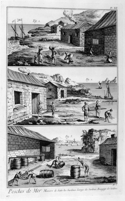 Salage, lavage, emballage des sardines, 1751-1777 - Unbekannt