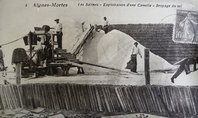 Salines, Camargue, Aigues-Mortes, Provence, France (photo n/b) - Unbekannt