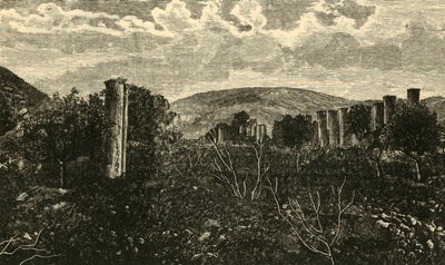 Samaria, 1890 - Unbekannt