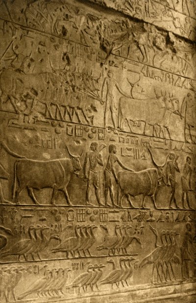 Saqqara - Tombe de Ptahotep - Décoration Murale, vers 1918-1939 - Unbekannt