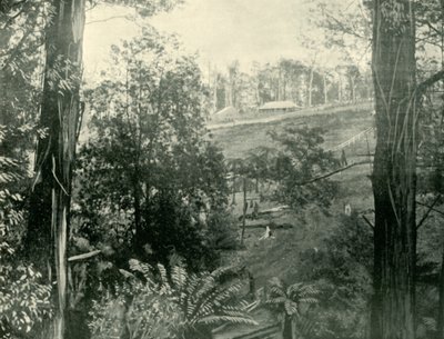 Scène à Upper Gembrook, Victoria, 1901 - Unbekannt