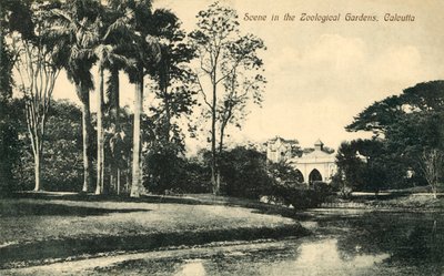 Scène dans les jardins zoologiques, Calcutta - Unbekannt