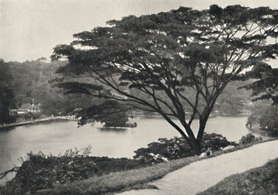 Voir, Temple de la Dent Sacrée et Bibliothèque à Kandy, vu du Victoria-Drive vers l