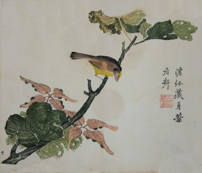 Graines et Aleurites Cordata : Page du Manuel du Jardin de la Graine de Moutarde, 1782, 2ème édition - Unbekannt