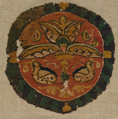Segmentum d