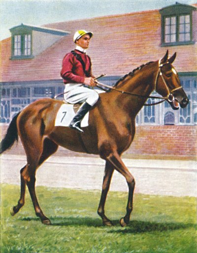 Señor, jockey : J. Crouch, 1939 - Unbekannt