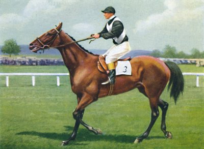 Shalfleet, jockey : R. Perryman, 1939 - Unbekannt