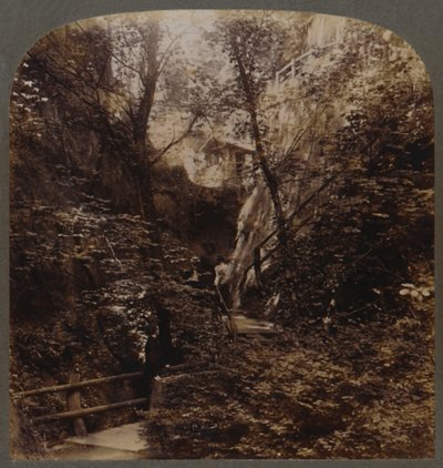 Shanklin Chine de renommée mondiale, Île de Wight, Angleterre, vers 1910 - Unbekannt