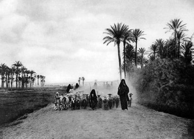 Garder des moutons près du Caire, Égypte, vers 1920 - Unbekannt
