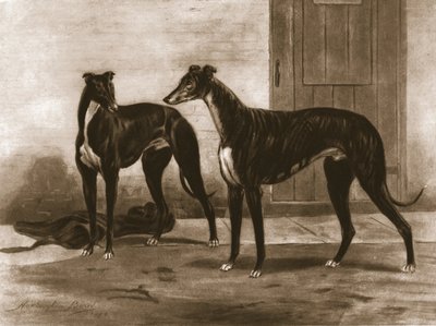Simonian et Fullerton, vers 1891, 1911 - Unbekannt