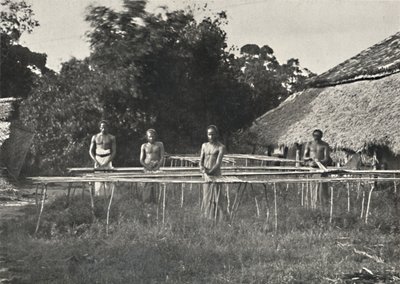 Travailleurs de la cannelle cinghalais au travail, 1926 - Unbekannt