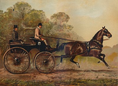 Cheval Phaéton à harnais simple Columbine. Propriété de Charles Baynes Esq., 1872 - Unbekannt