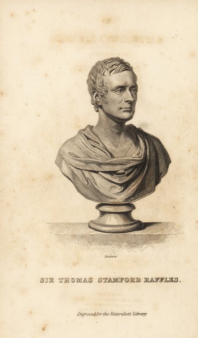 Sir Thomas Stanford Raffles, homme d