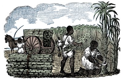 Esclaves récoltant de la canne à sucre en Louisiane, 1833 - Unbekannt