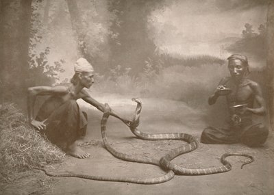 Charmeurs de serpents avec hamadryades Kuy Cobras, 1900 - Unbekannt