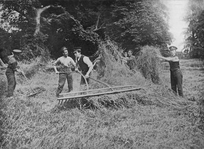 Soldats aidant les fermiers à rentrer le foin, 1915 - Unbekannt