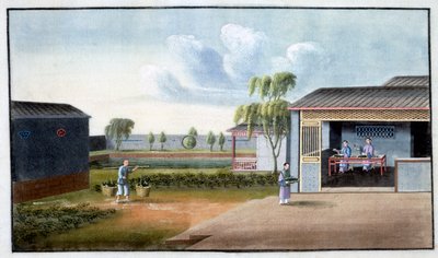 Tri du thé, 19ème siècle - Unbekannt