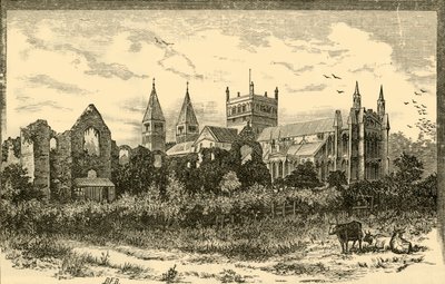 Southwell Minster et ruines du palais - Unbekannt